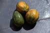 Click for papayas photo