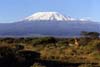 Click for the Mount Kilimanjaro photo