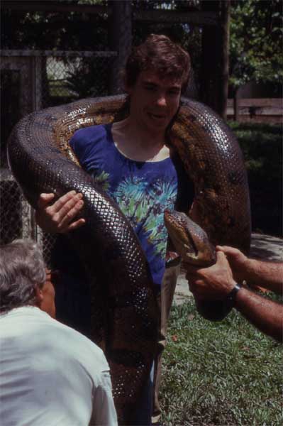 anaconda on shoulders photo