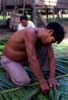 roofer weaving fronds
