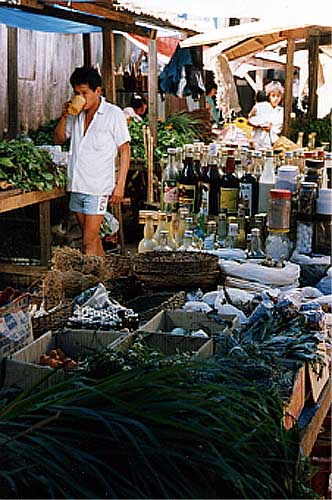 herbalist's market stall photo